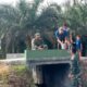 Pembangunan box culvert yang menjadi bagian dari program TMMD ke 124 telah selesai