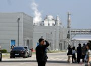 Pangsa pasar produsen baterai kendaraan listrik Korea Selatan turun