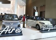 Wuling buka suara terkait petisi penurunan harga untuk Binguo EV