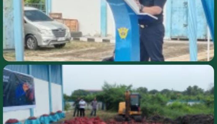 Bawang Merah Hasil Tangkapan di Musnahkan Bea Cukai Dumai Dengan Cara di Kubur