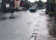 Honda beri program servis khusus mobil terdampak banjir di Bali