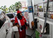 Pakar sebut pentingnya tata hulu-hilir dan roadmap sebelum BBM E10